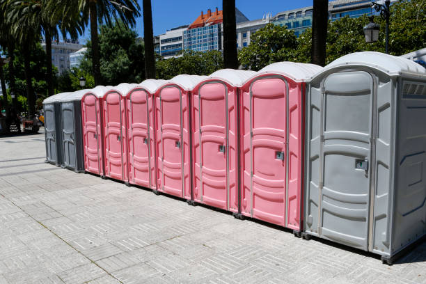 Trusted Lapel, IN Portable Potty Rental Experts